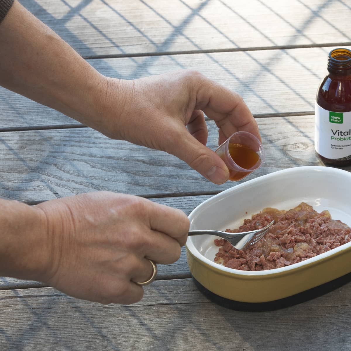 Vital10 Probiotic für Katzen - Curlypets