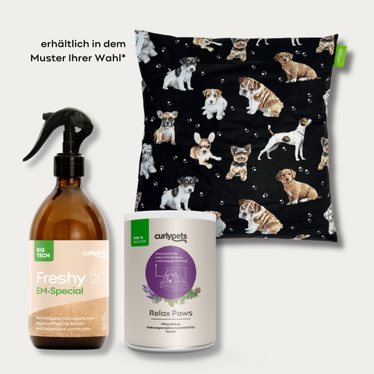 Das Wohlfühlpaket für Hunde