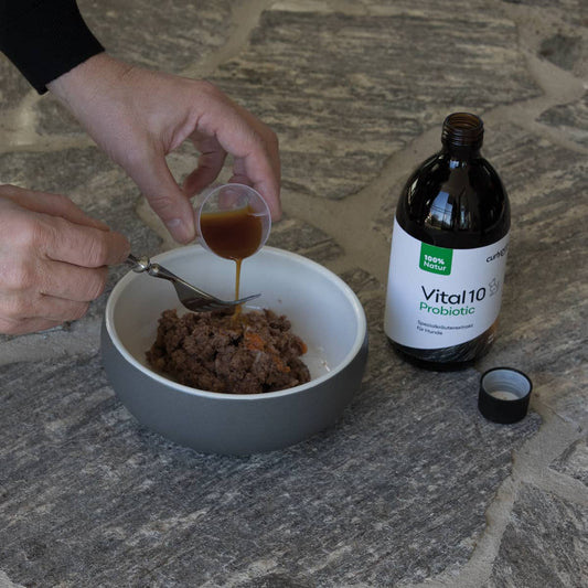 Vital10 Probiotic für Hunde
