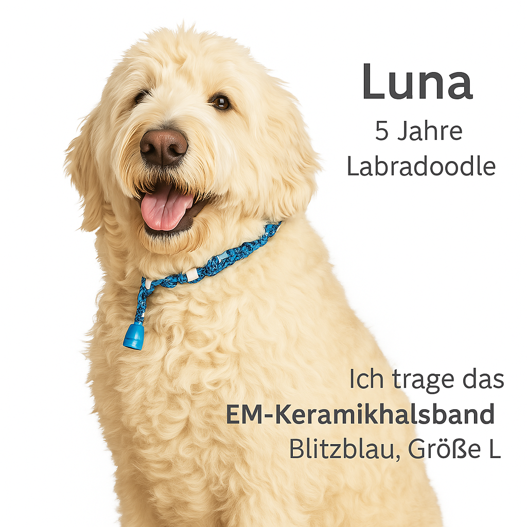 Tickstop Anti-Zeckenband für Hunde - Curlypets